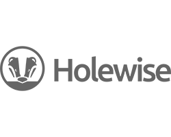 Holewise logo